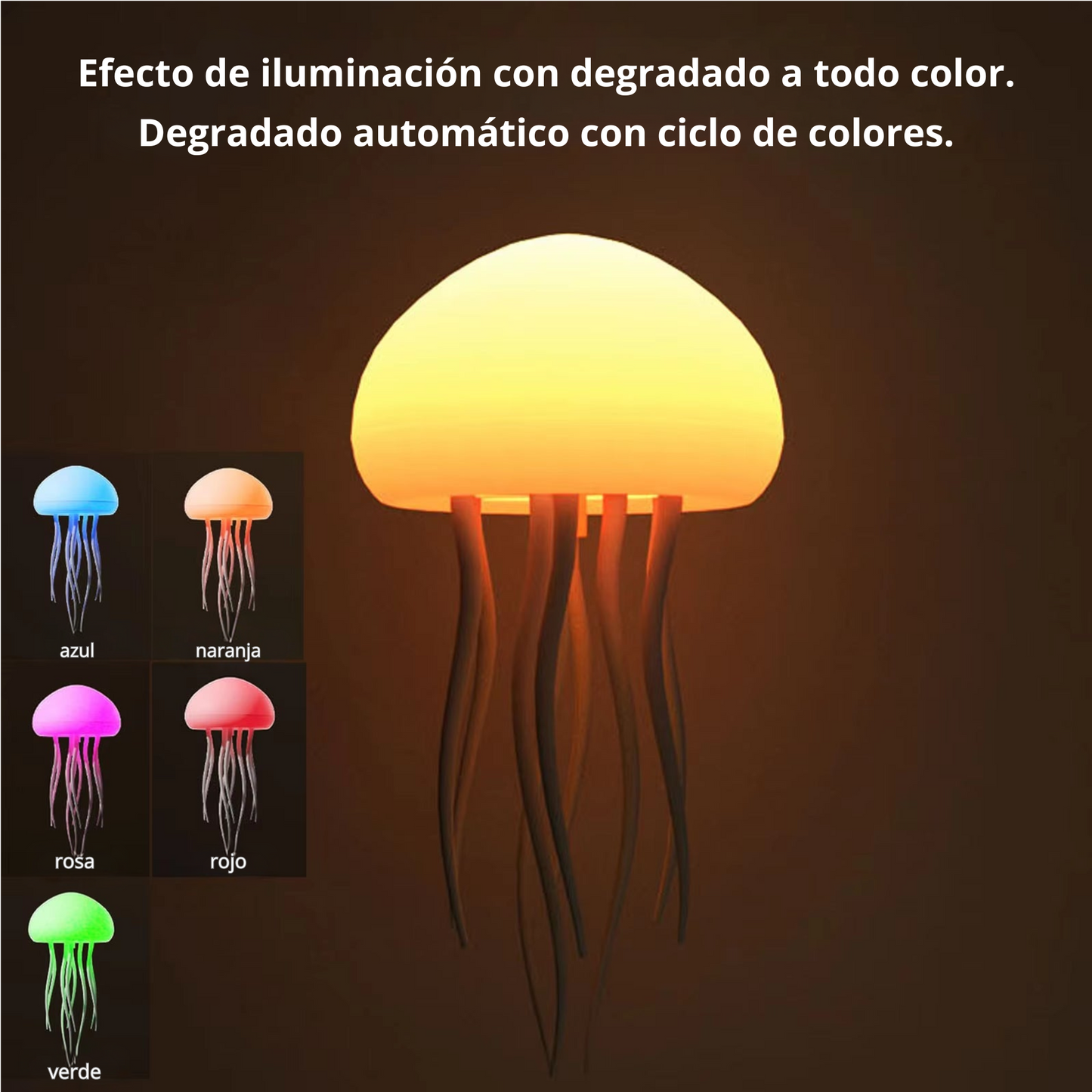 JellyLamp